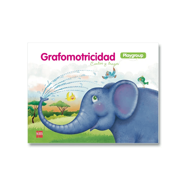 GRAFOMOTRICIDAD PLAYGROUP 