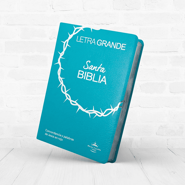 SANTA BIBLIA REINA VALERA 1960 