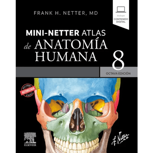MINI-NETTER ATLAS DE ANATOMÍA HUMANA  