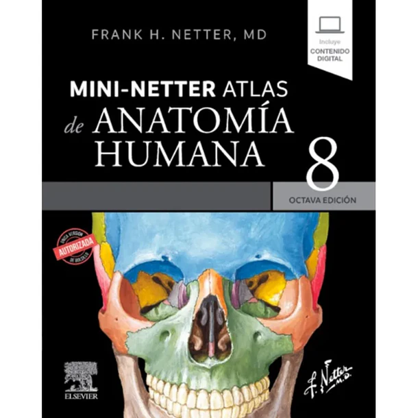 MINI-NETTER ATLAS DE ANATOMÍA HUMANA  