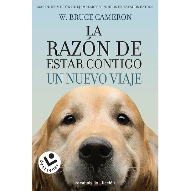 LA RAZÓN DE ESTAR CONTIGO 2: UN NUEVO VIAJE  