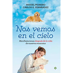 NOS VEMOS EN EL CIELO 