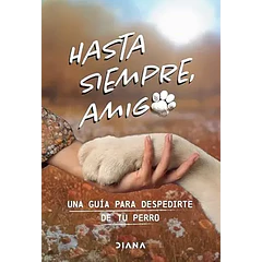 HASTA SIEMPRE, AMIGO