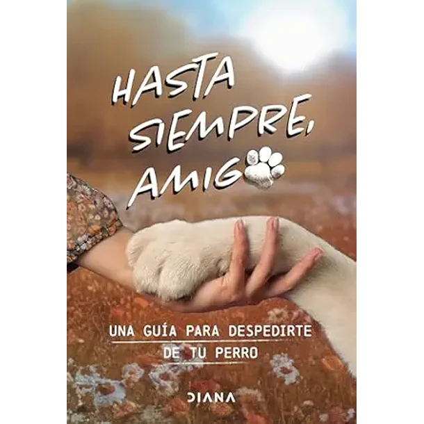 HASTA SIEMPRE, AMIGO 