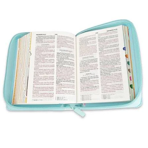 BIBLIA: MI GRAN VIAJE  2