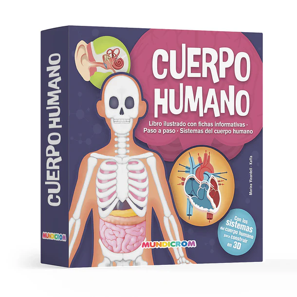 CUERPO HUMANO  1