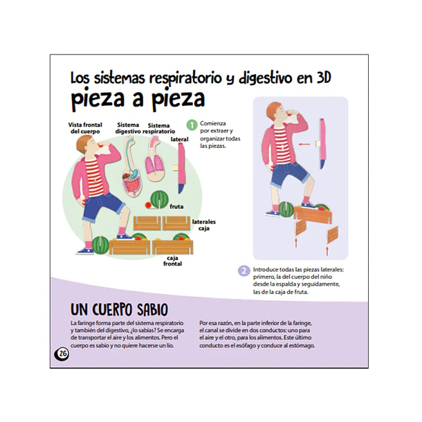 CUERPO HUMANO  3
