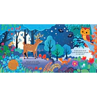 ASÍ SUENA EL BOSQUE (ESCUCHO, TOCO Y DESCUBRO) 3