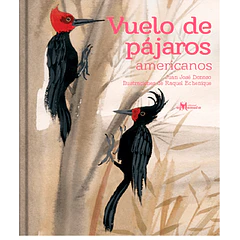 VUELO DE PAJAROS