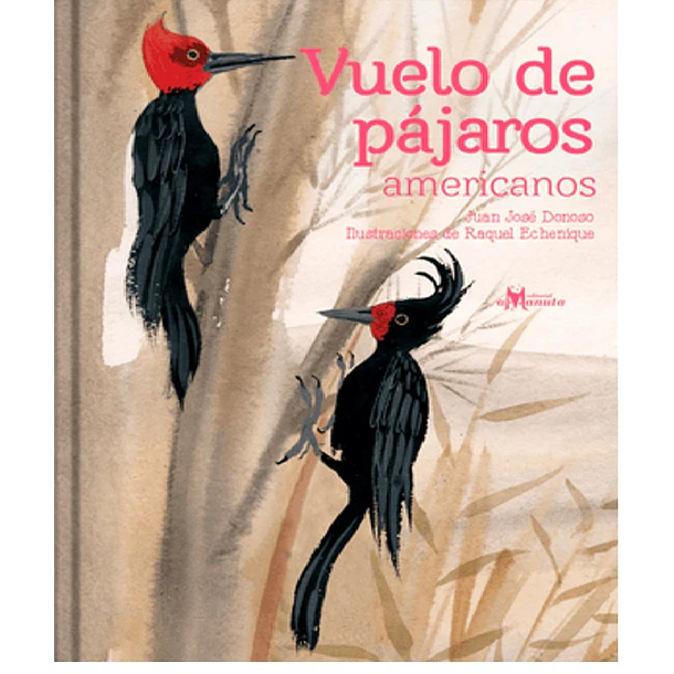 VUELO DE PAJAROS 