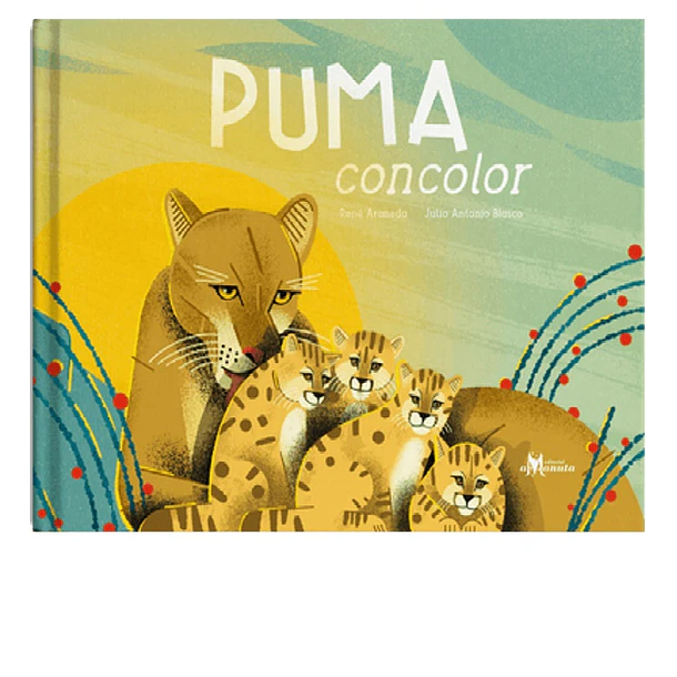PUMA CONCOLOR 