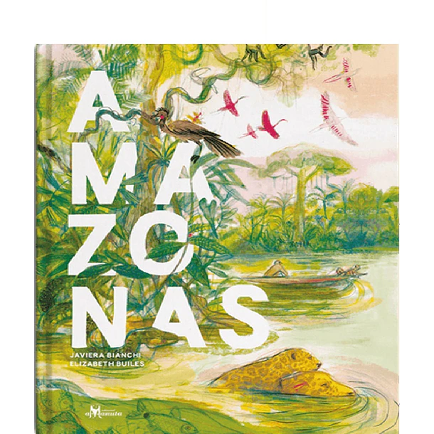 AMAZONAS 