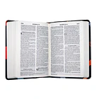 SANTA BIBLIA LETRA GRANDE: REINA VALERA 1960 2