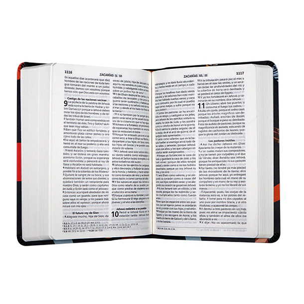 SANTA BIBLIA LETRA GRANDE: REINA VALERA 1960 2