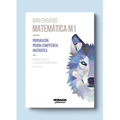 MINI ENSAYOS: MATEMÁTICA M1