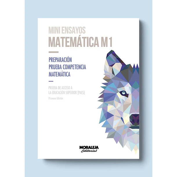 MINI ENSAYOS: MATEMÁTICA M1 