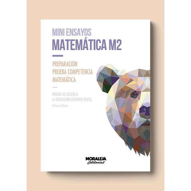 MINI ENSAYOS: MATEMÁTICA M2 
