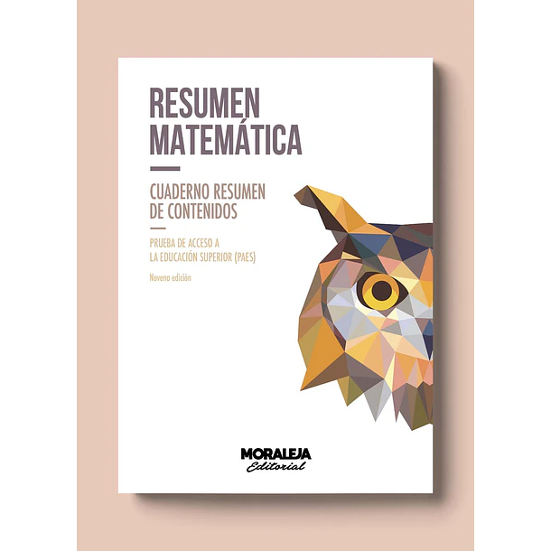 RESUMEN MATEMÁTICA (CUADERNO RESUMEN DE CONTENIDOS) 9° EDICIÓN  