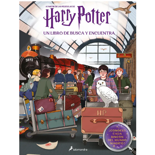 HARRY POTTER. BUSCA Y ENCUENTRA  
