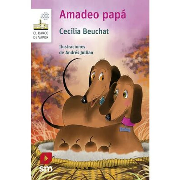 AMADEO PAPA 