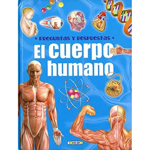 PREGUNTAS Y RESPUESTAS. EL CUERPO HUMANO 