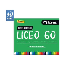 Block Dibujo Liceo-20