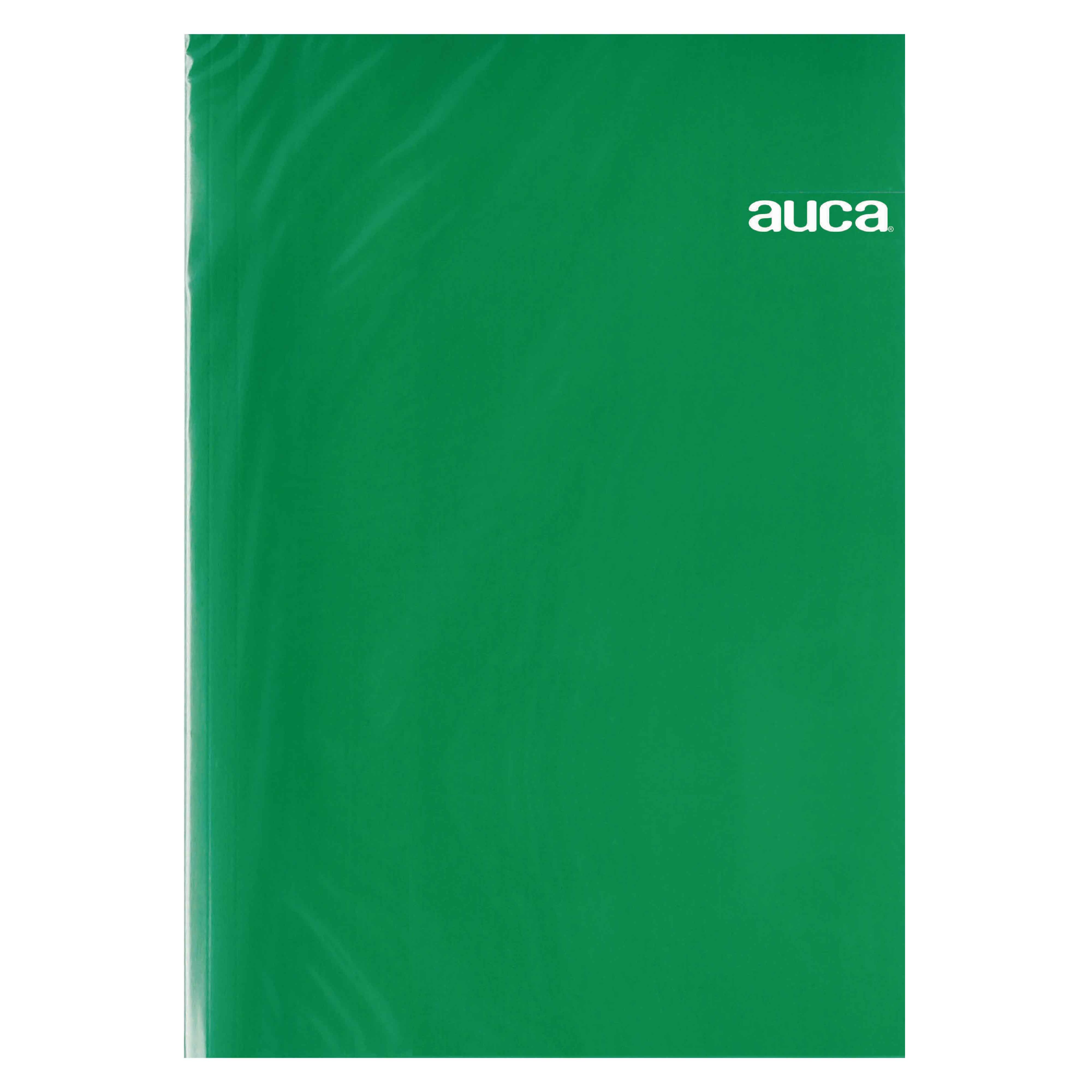 Carpeta Plastificada Verde