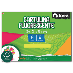 Bolsón de Cartulina Fluorescente 6 Hojas