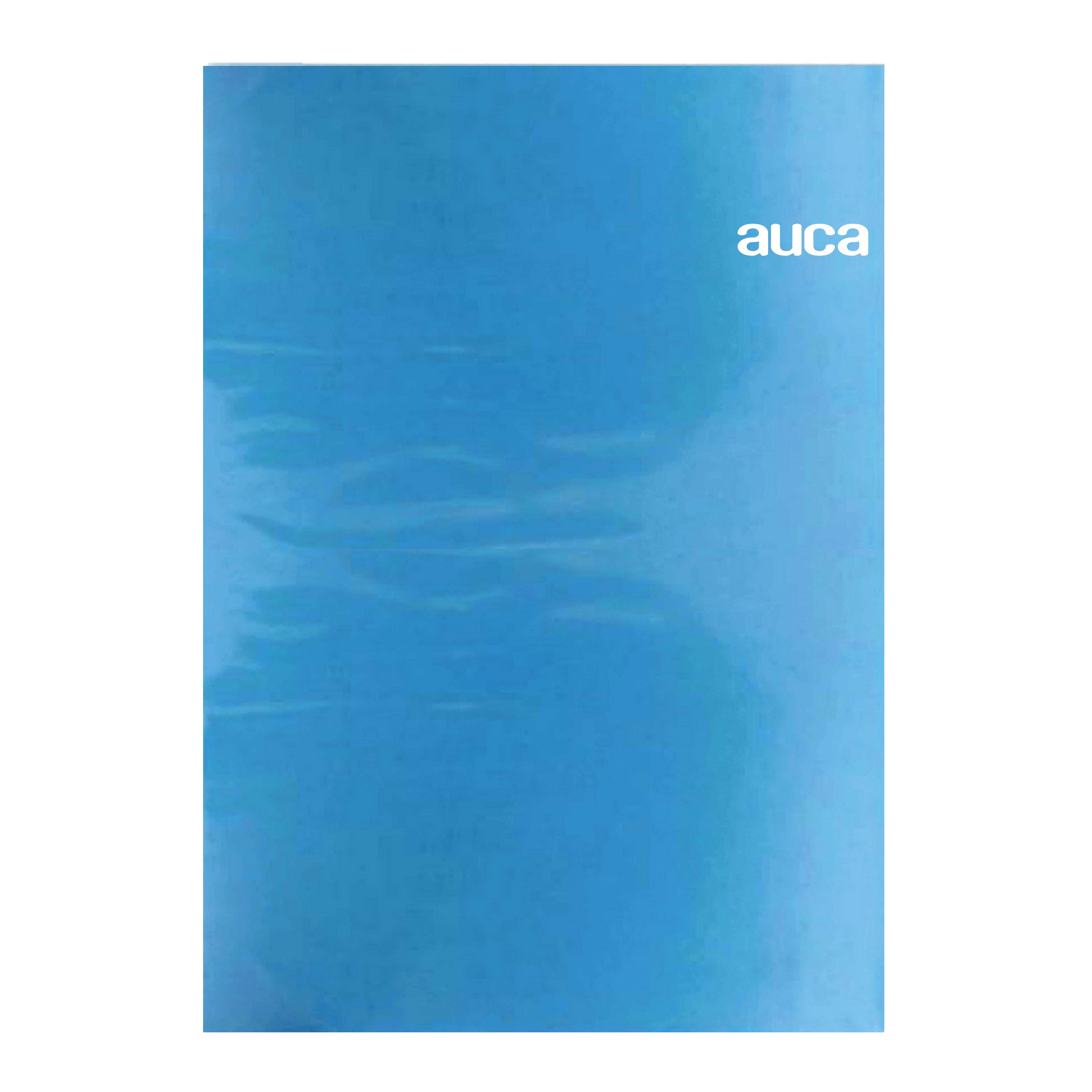 Carpeta Plastificada Celeste con Gusano