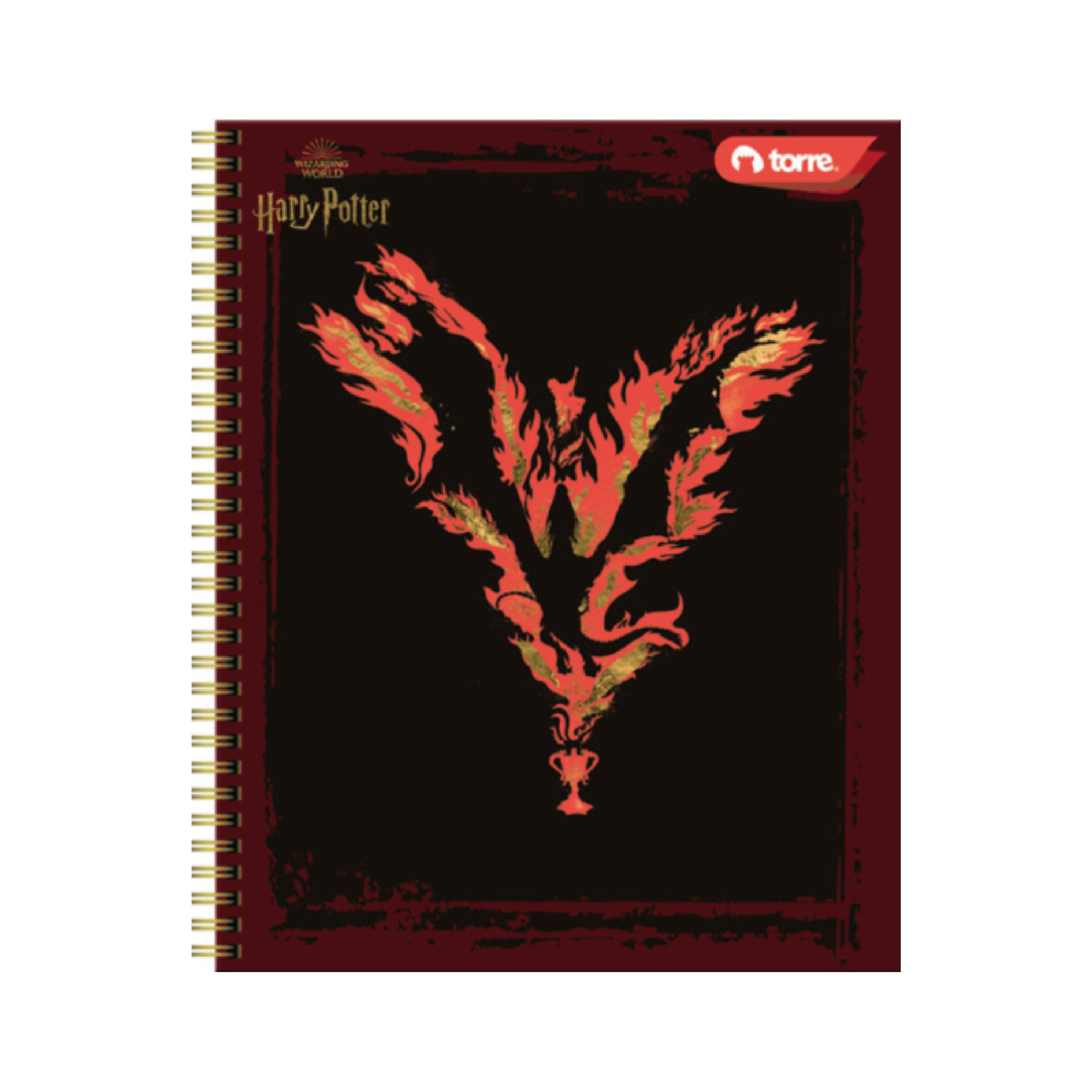 Cuaderno Clásico Harry Potter 100 Hojas