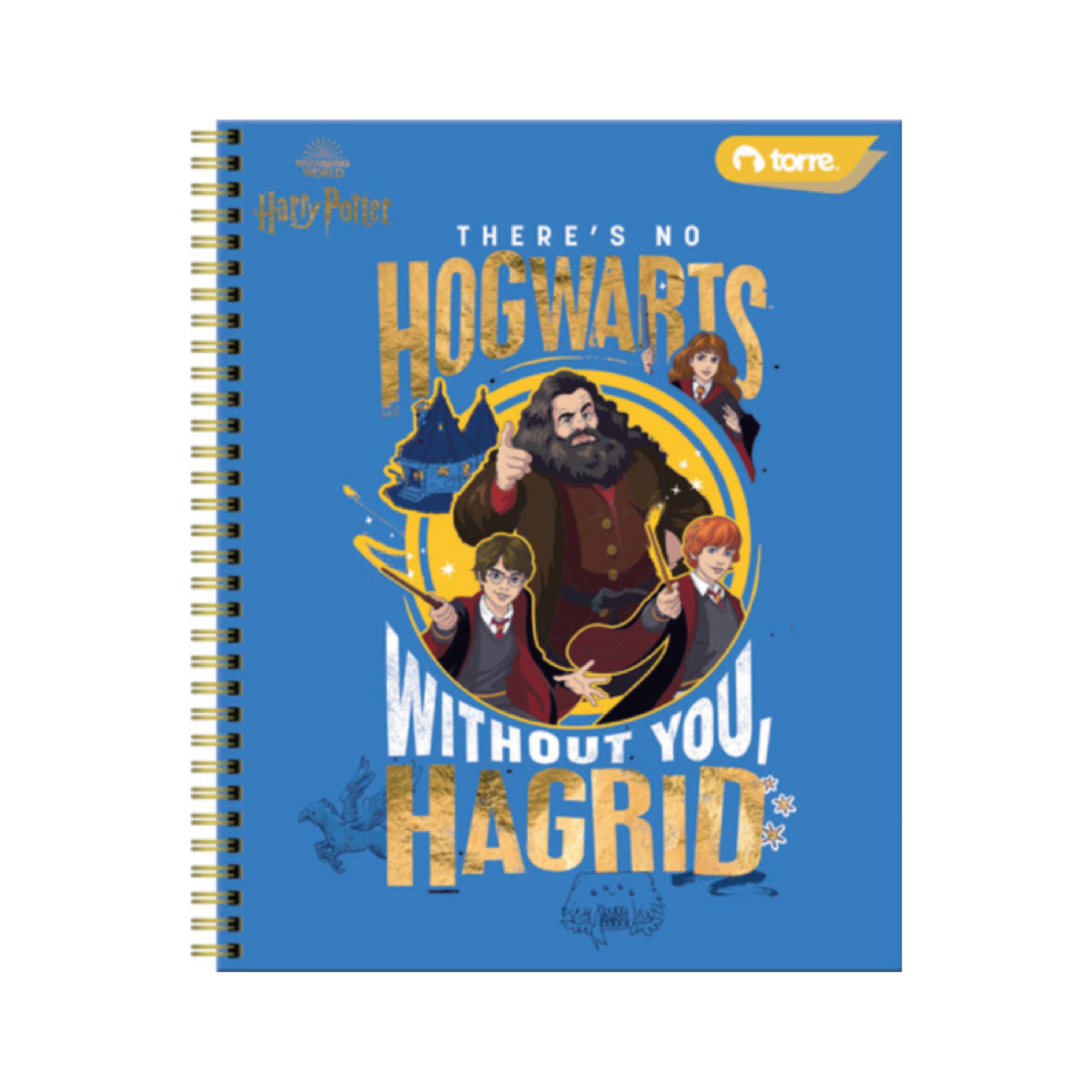 Cuaderno Clásico Harry Potter 100 Hojas