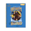 Cuaderno Clásico Harry Potter 100 Hojas