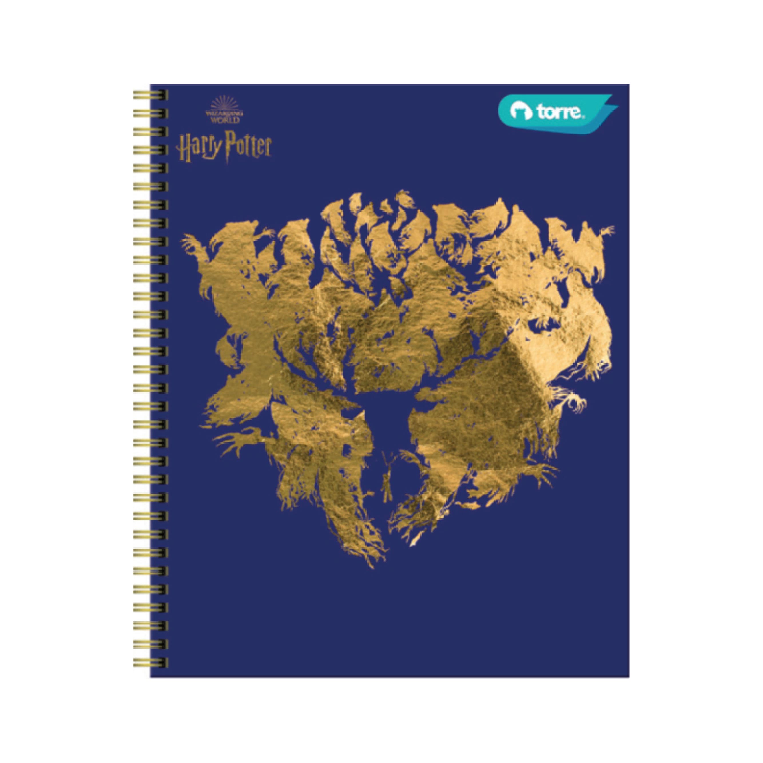 Cuaderno Clásico Harry Potter 100 Hojas