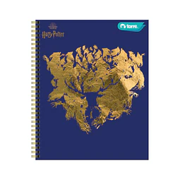 Cuaderno Clásico Harry Potter 100 Hojas