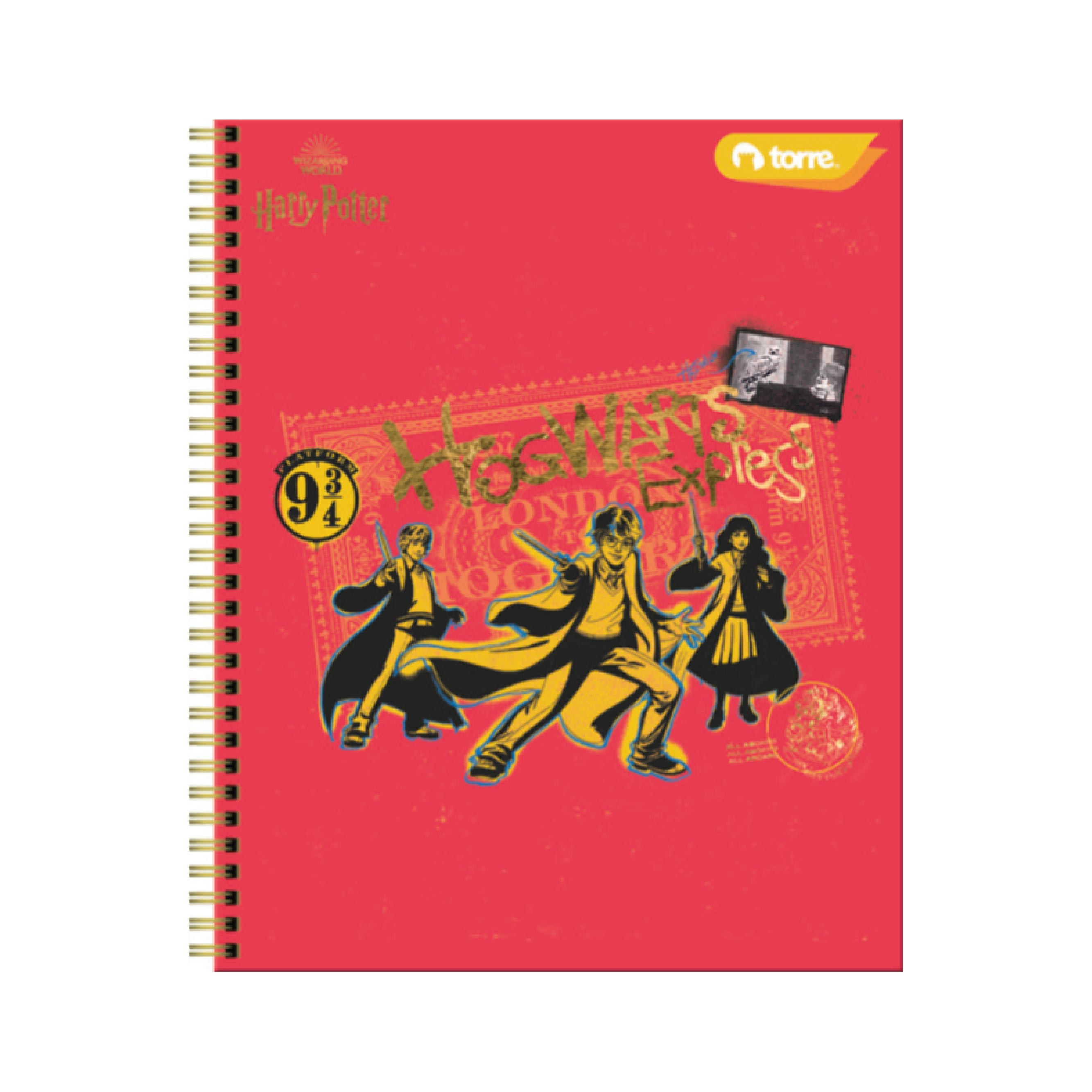 Cuaderno Clásico Harry Potter 100 Hojas