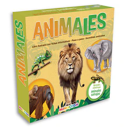 Kit de Construcción: Animales