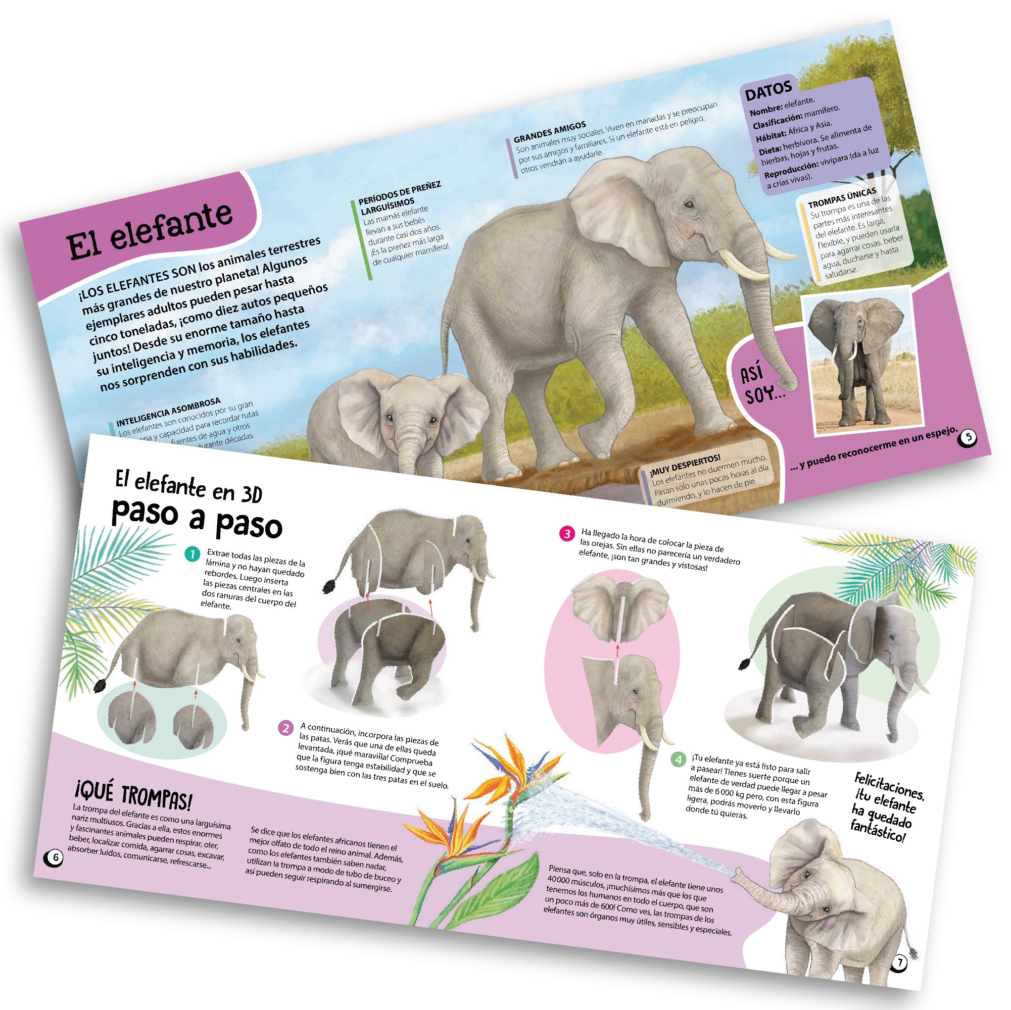 Kit de Construcción: Animales