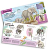 Kit de Construcción: Animales