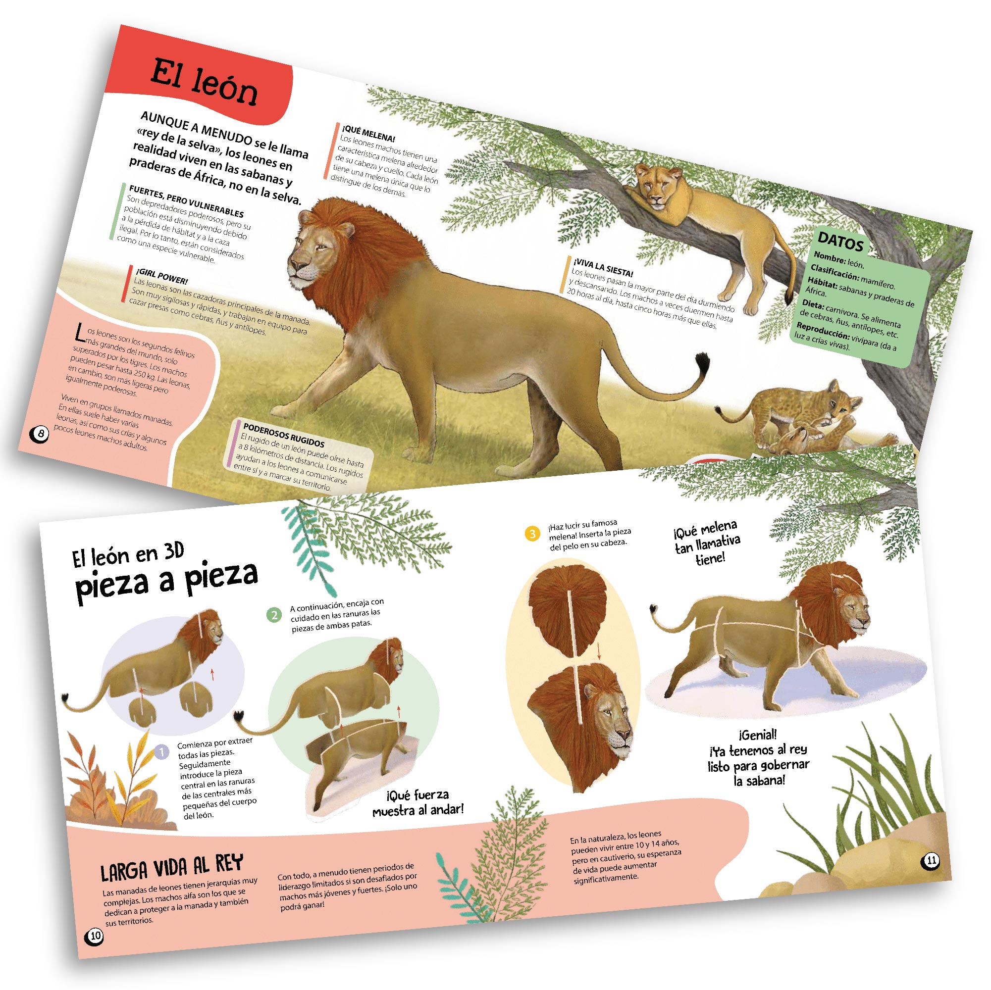 Kit de Construcción: Animales
