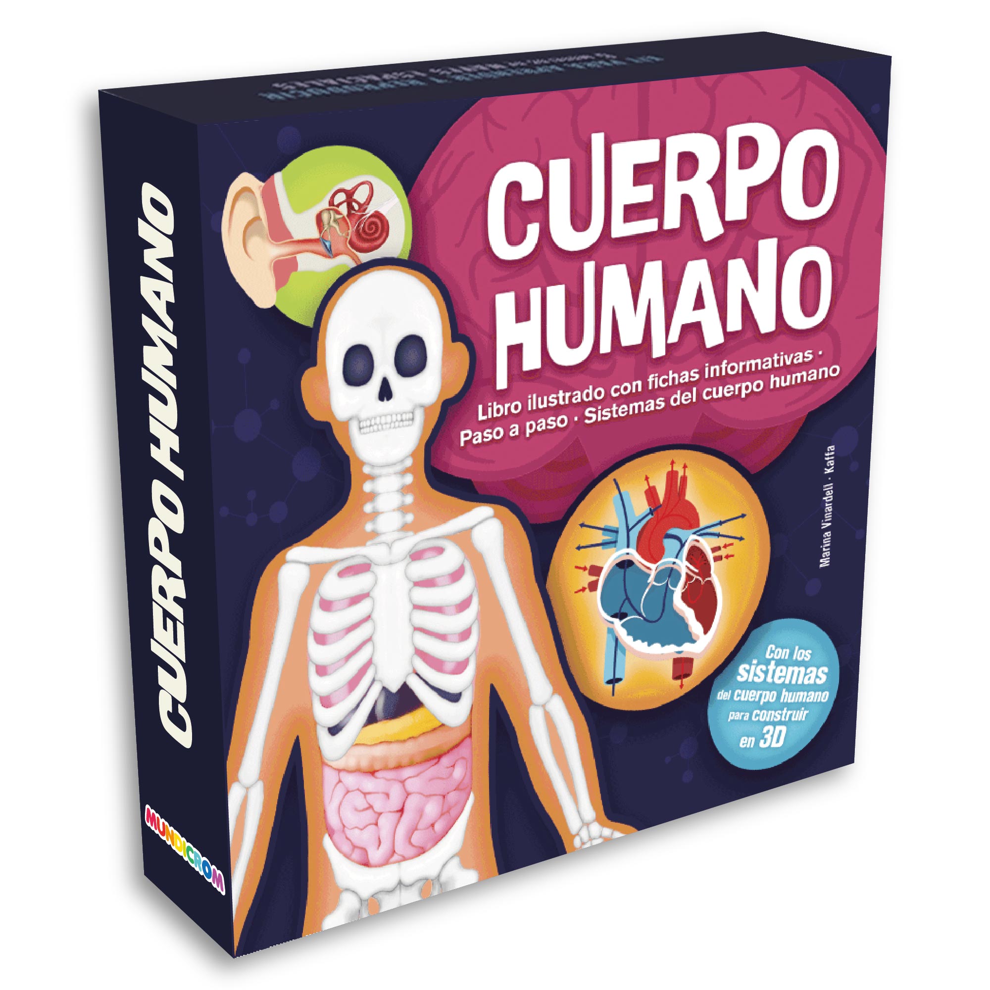 Kit de Construcción: Cuerpo Humano
