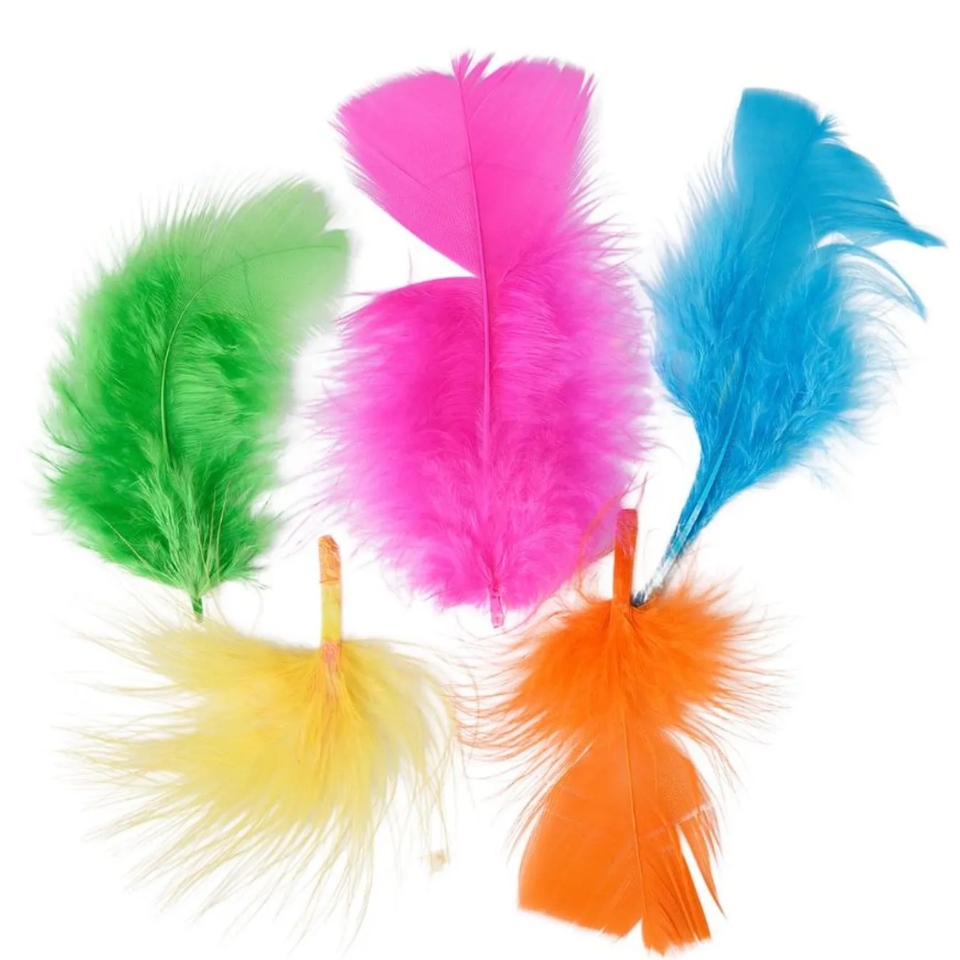 Set Plumas Surtidas