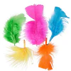 Set Plumas Surtidas