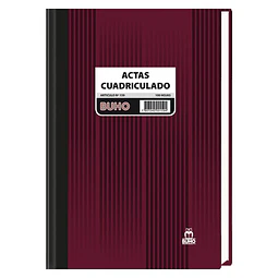 Libro Cuadriculado Oficio 7 mm 100 Hojas