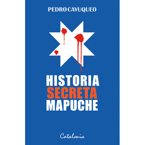 Historia secreta mapuche 1