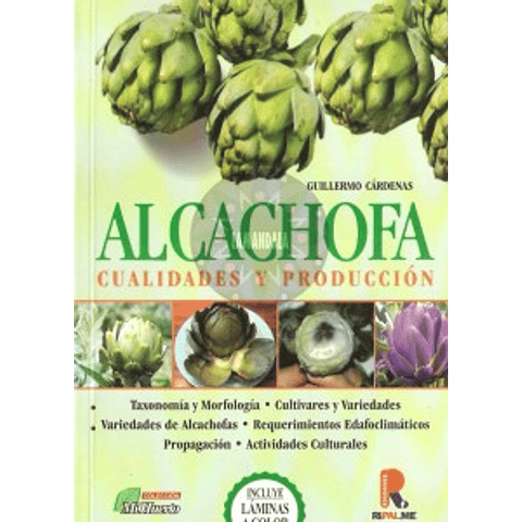 Alcachofa cualidades y producción