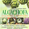 Alcachofa cualidades y producción