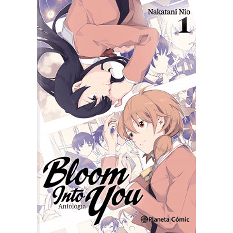 Bloom Into You Antología nº 01