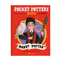 Pocket Potters - Harry Potter