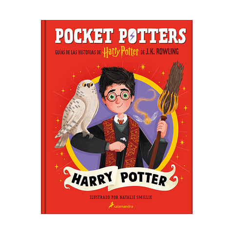 Pocket Potters - Harry Potter