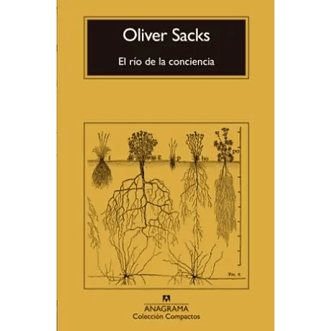 EL RIO DE LA CONCIENCIA